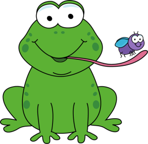 frog-eating-fly